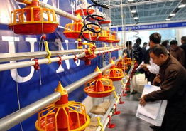 2003中国畜牧业暨饲料工业交易会 推动行业发展的盛会