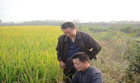 农业工程师职业大全 多领域发展与职业前景