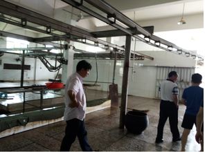 市畜牧兽医水产局赴攸督查养殖业安全生产工作，助力畜牧渔业饲料合规销售