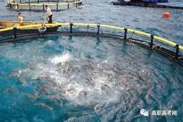 水产养殖技术、专业介绍及就业前景分析