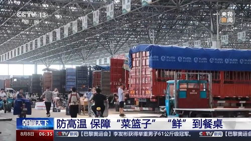 生产稳定供给充足 看各地如何拎稳菜篮子与畜牧渔业饲料销售