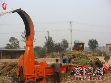 抢抓农时促转化，市畜牧局多措并举推广秸秆青贮饲料助力畜牧渔业降本增效