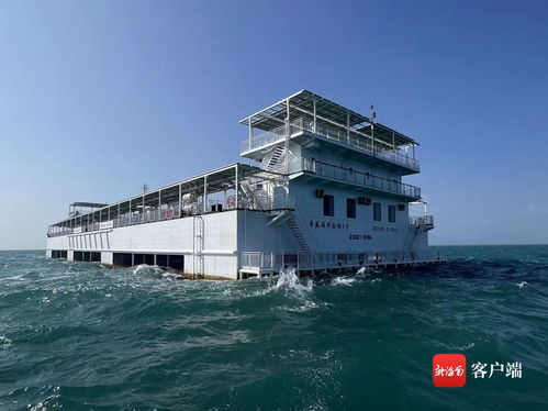 智慧渔业赋能“海上粮仓”建设——媒体海南行聚焦乐东龙栖湾海洋牧场